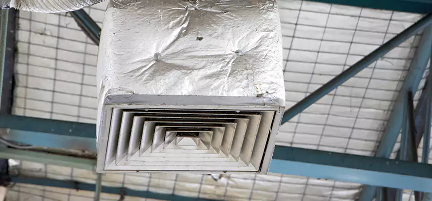 Our HVAC Mold Remediation Service Services in Sun City Center, FL